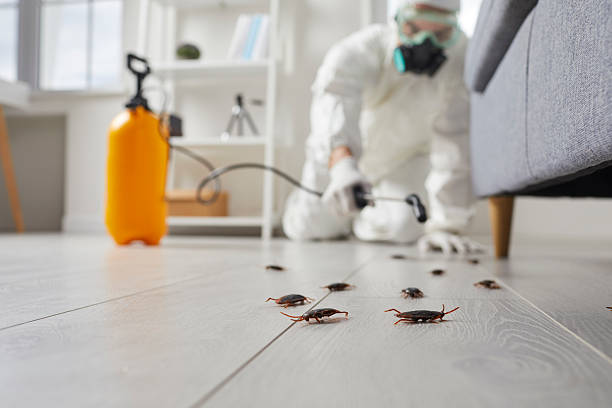 Post-Treatment Bed Bug Interceptor Monitoring in Woodlynne
