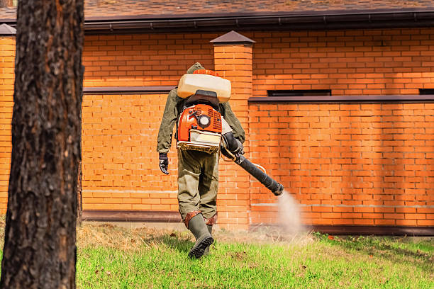 Bed Bug Clearance Verification and Documentation in Woodlynne
